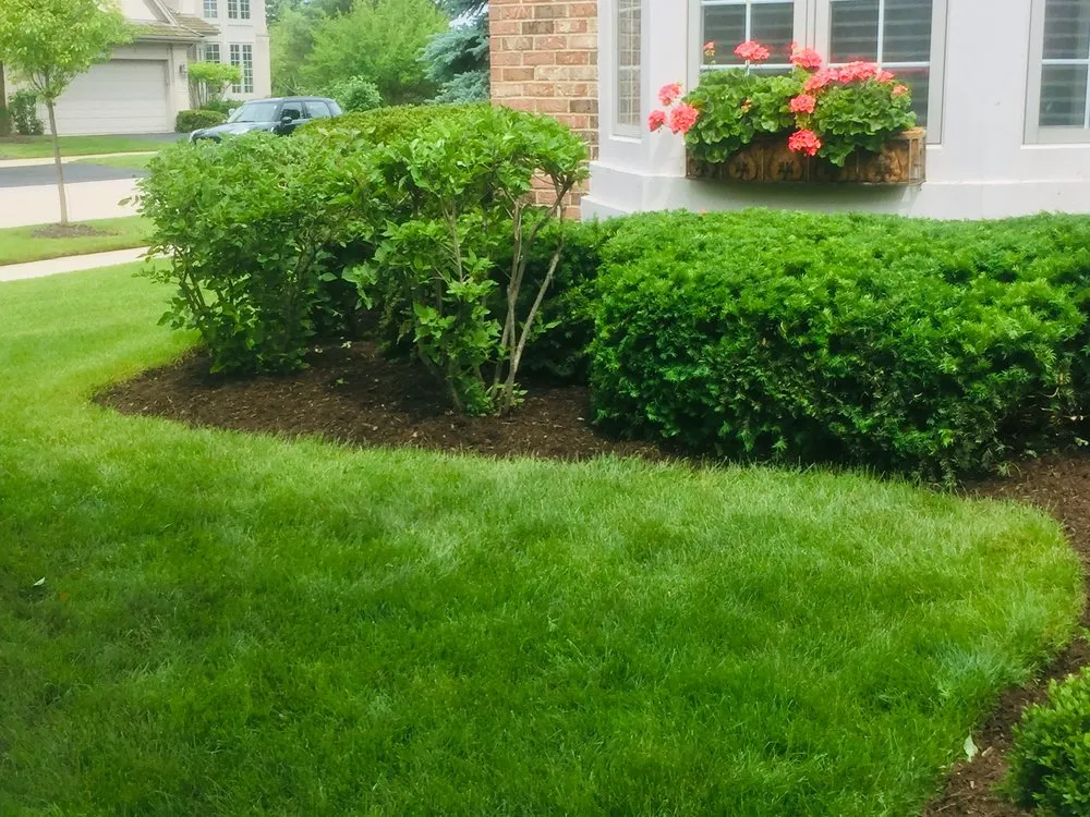 Reliable yard cleanup service in Des Plaines, IL - A&TC Landscape services