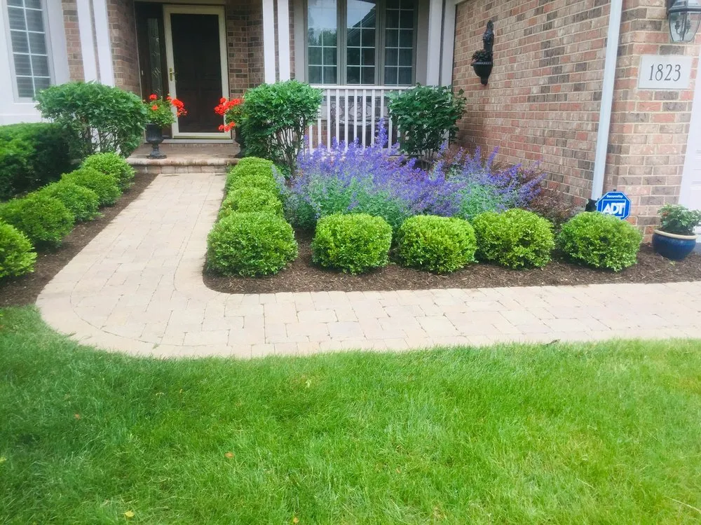 Custom yard cleanup service in Des Plaines, IL by A&TC Landscape services