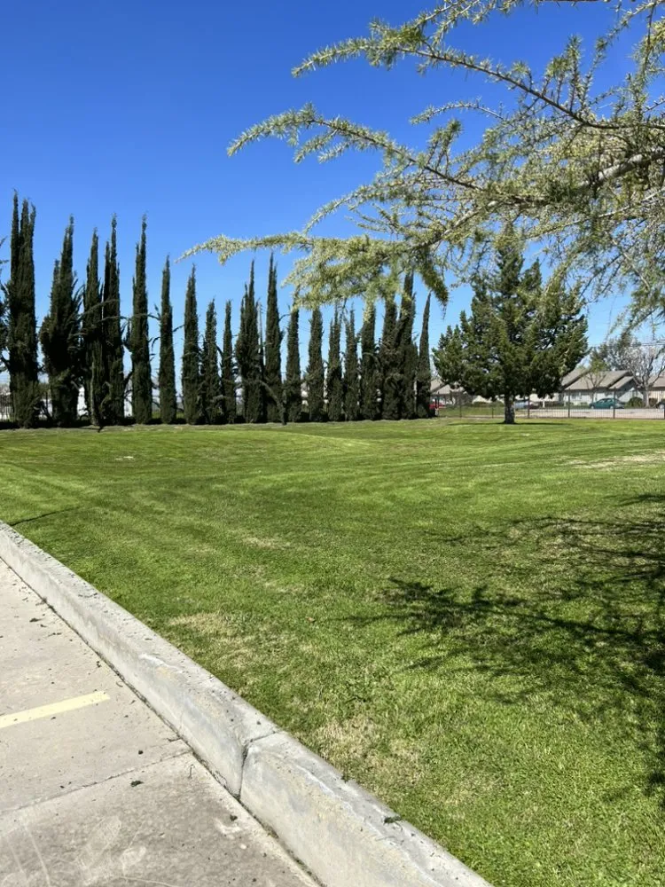 Trusted lawn care service in Visalia, CA - ATC Lawn Care