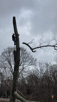 Atchison Tree Service & Lawn Care