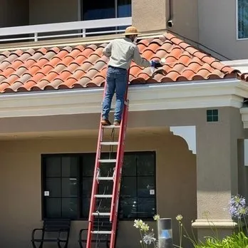 Custom yard cleanup service in Novato, CA by ATCO Pest Control