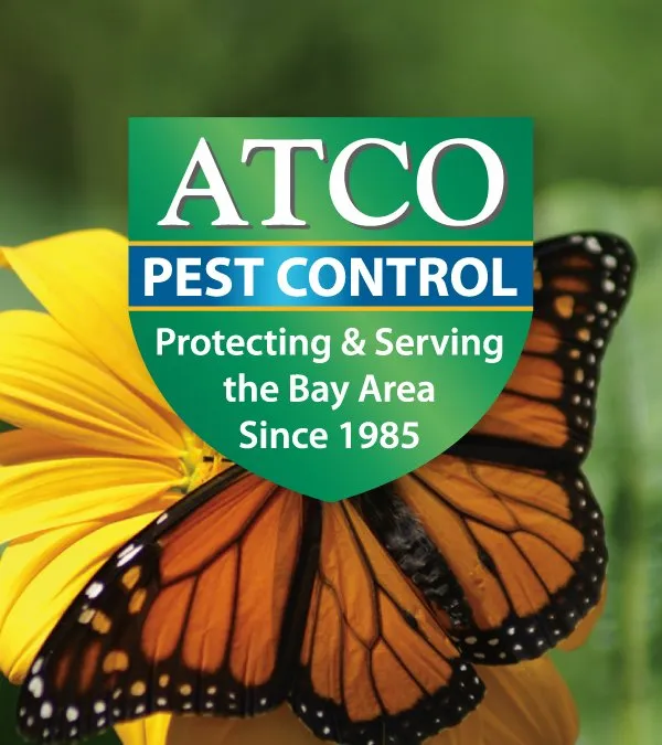 Custom outdoor landscaping for residential properties across Novato, CA - ATCO Pest Control