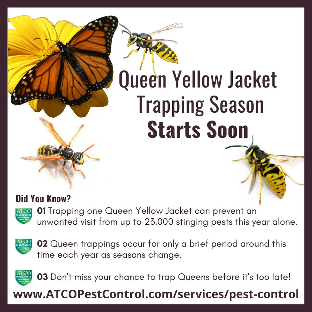 Local landscape design in Novato, CA - ATCO Pest Control