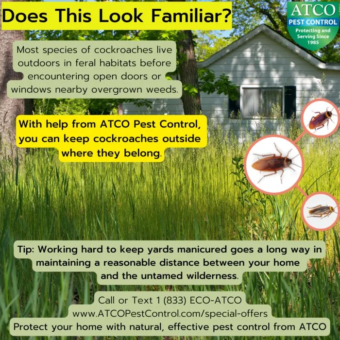 Trusted residential landscaping experts serving Novato, CA - ATCO Pest Control