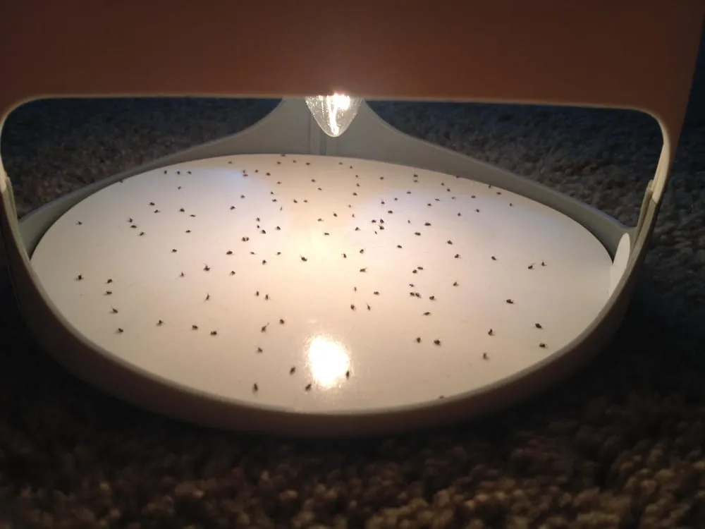 Local landscaping services in Novato, CA - ATCO Pest Control