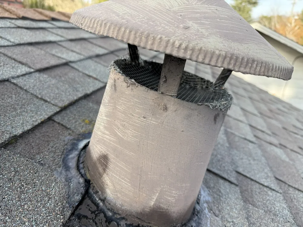 Trusted yard cleanup service for outdoor upgrades across Novato, CA - ATCO Pest Control