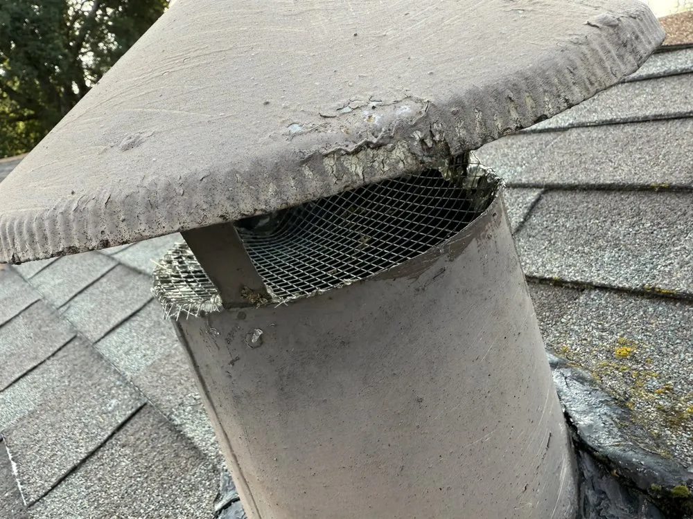 Professional yard maintenance for outdoor upgrades across Novato, CA - ATCO Pest Control