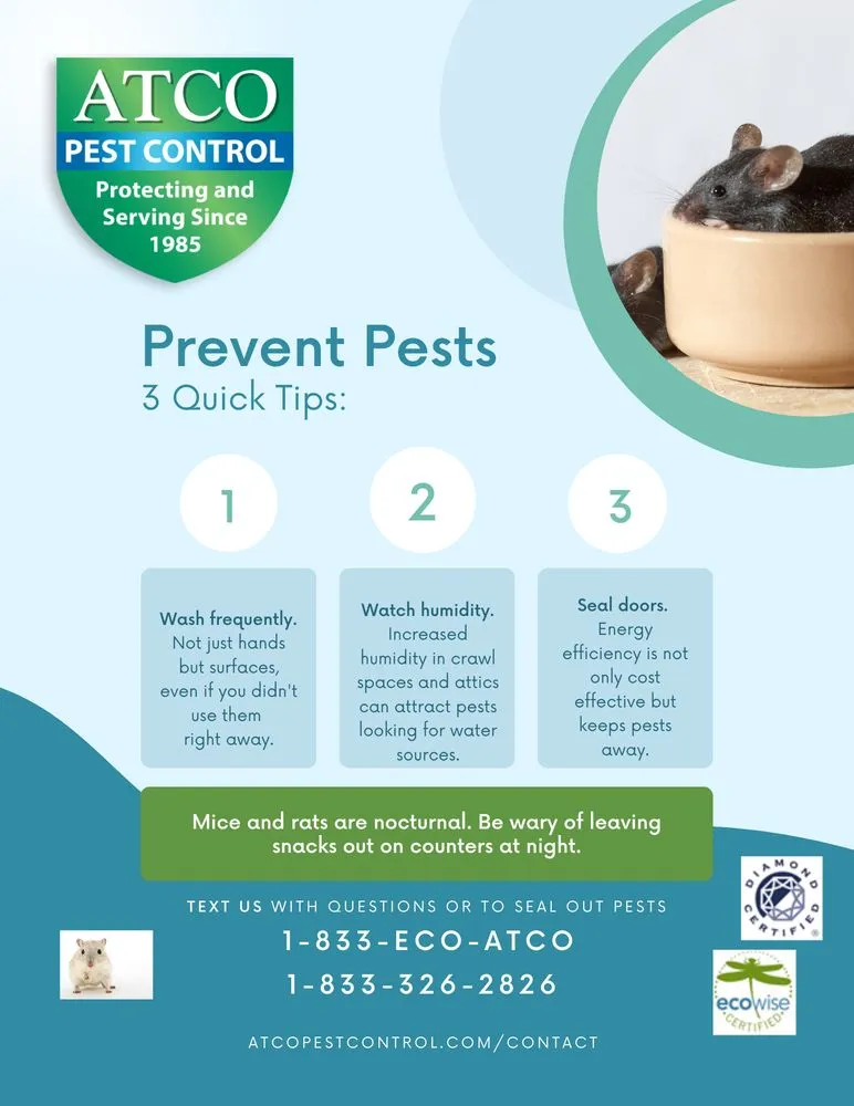 Custom landscaping services experts serving Petaluma, CA - ATCO Pest Control