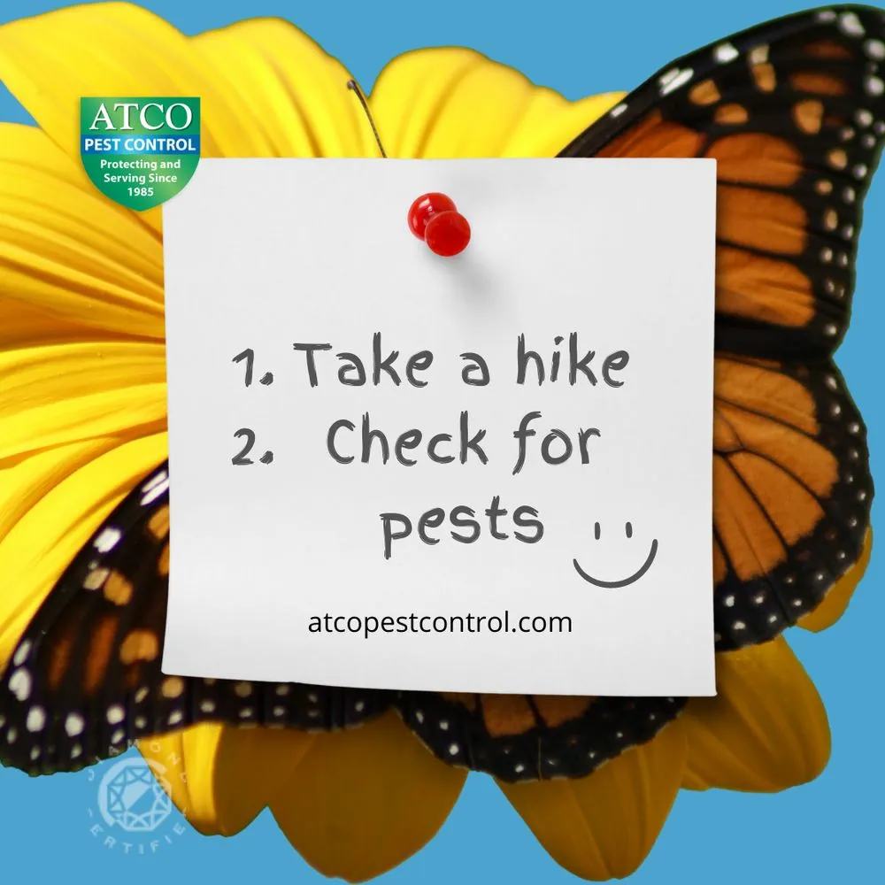 Reliable landscaping services with custom design in Petaluma, CA by ATCO Pest Control