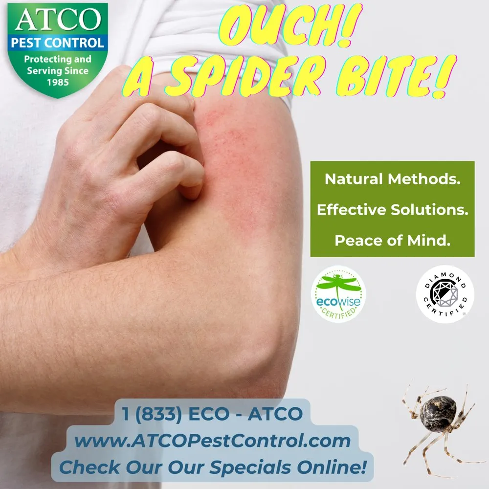 Professional yard cleanup service in Petaluma, CA by ATCO Pest Control