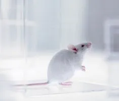 Trusted landscape installation for homes across Petaluma, CA - ATCO Pest Control