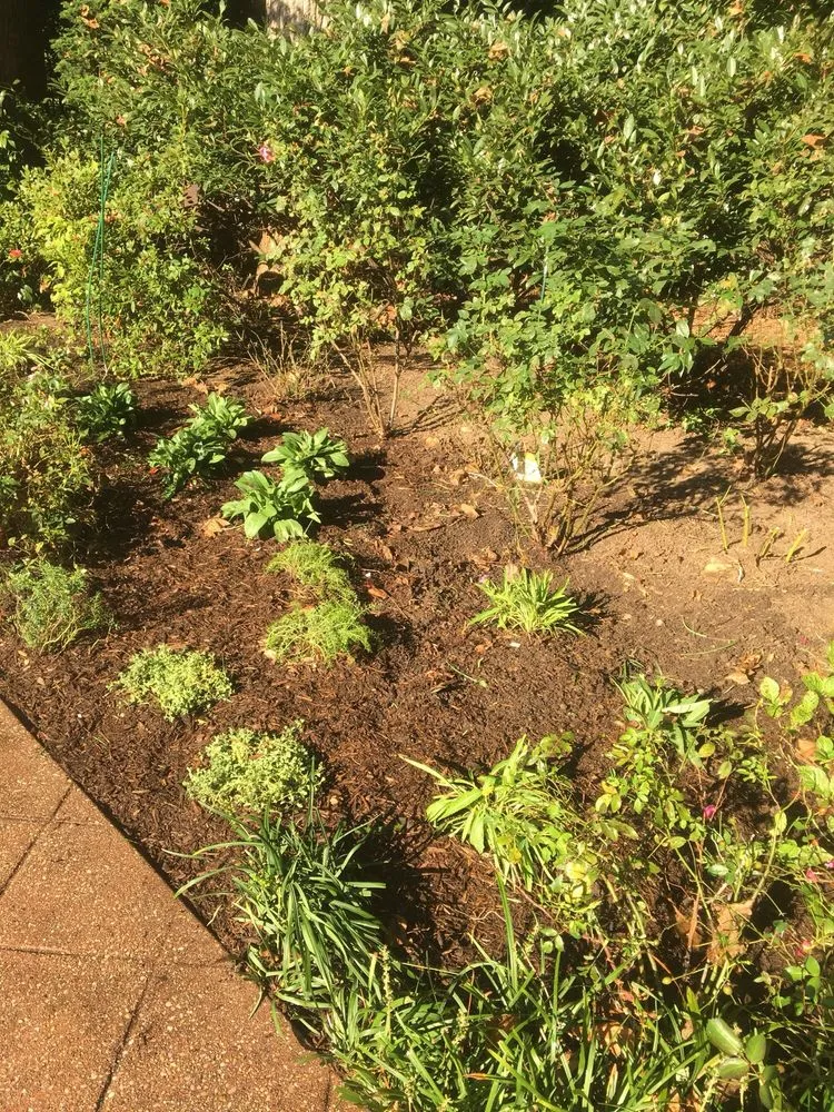 Affordable landscape design in Olney, MD by ATD Landscaping