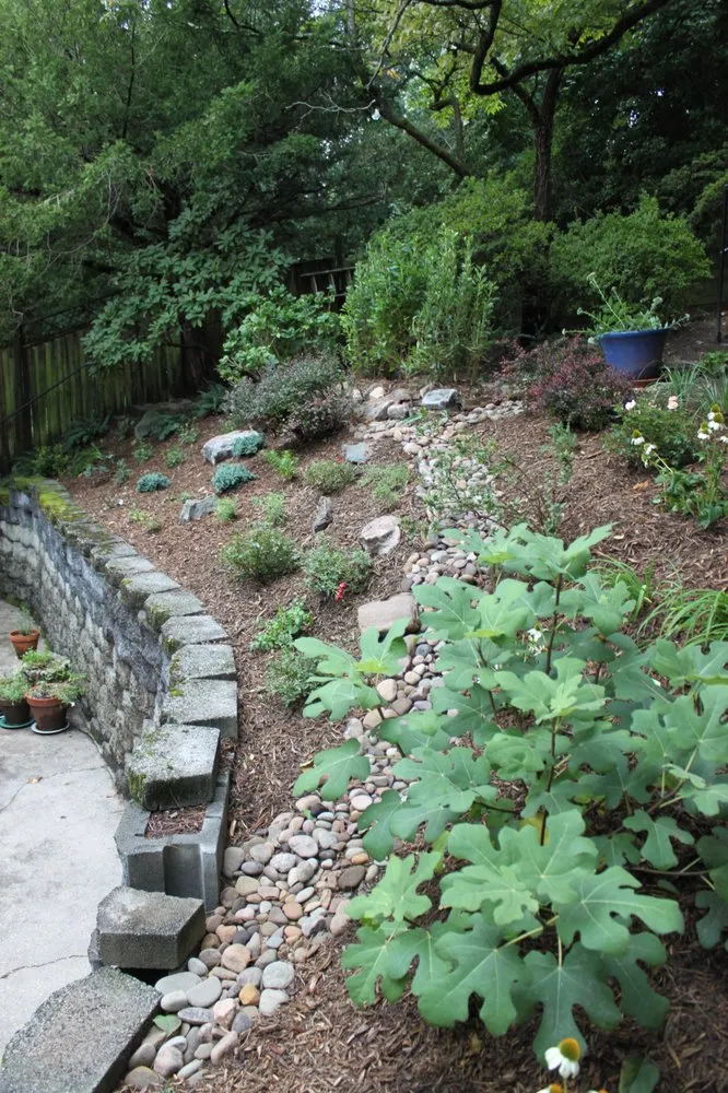 Affordable yard maintenance near you in Olney, MD by ATD Landscaping