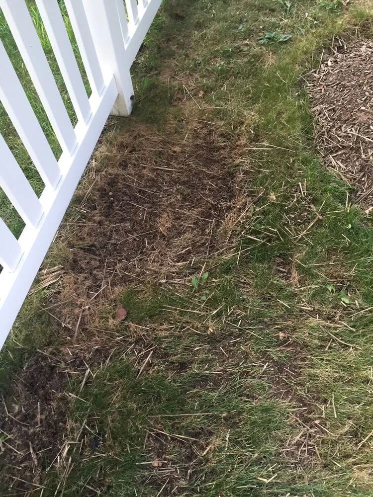 Reliable yard cleanup service in Olney, MD - ATD Landscaping