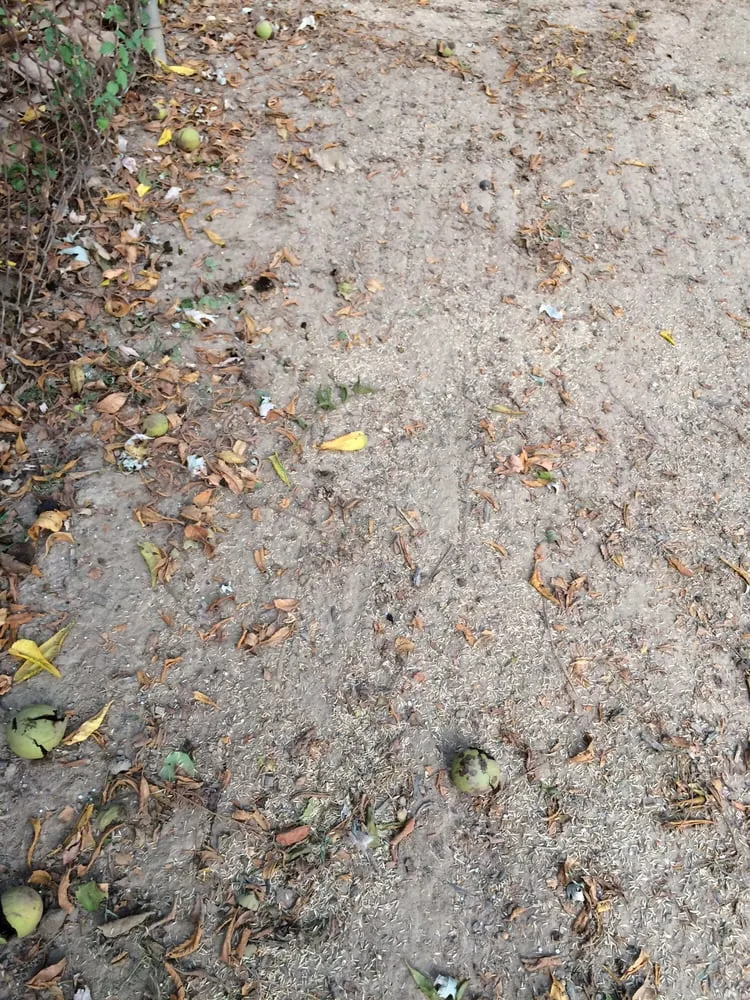 Trusted landscaping services with custom design across Olney, MD - ATD Landscaping