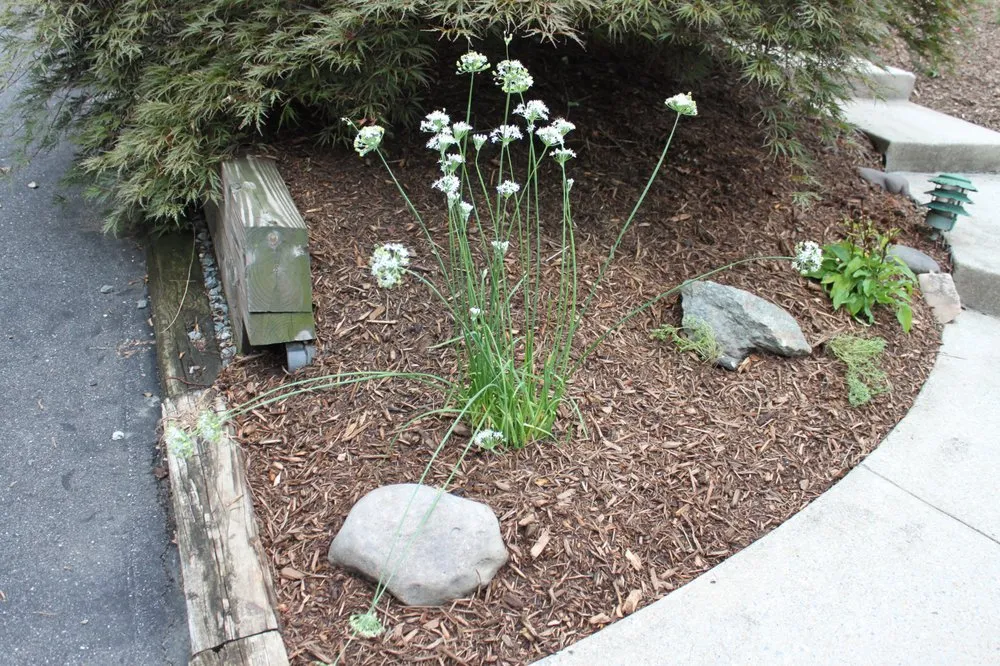 Affordable yard maintenance in Olney, MD - ATD Landscaping