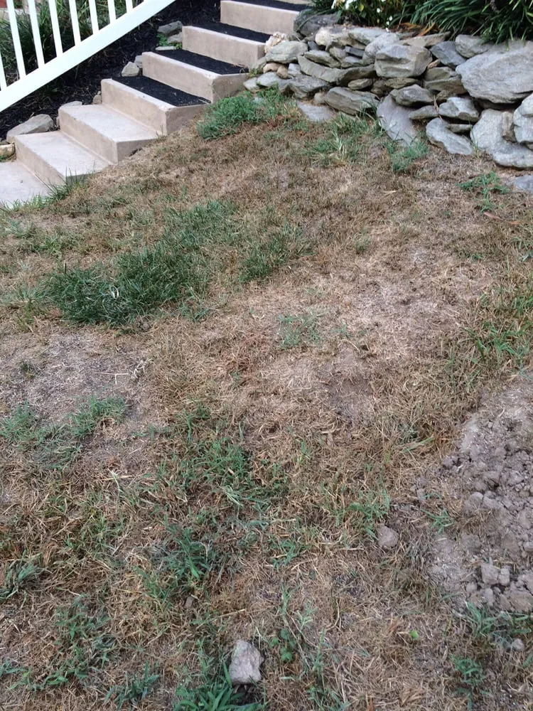 Custom landscaping services in Olney, MD - ATD Landscaping