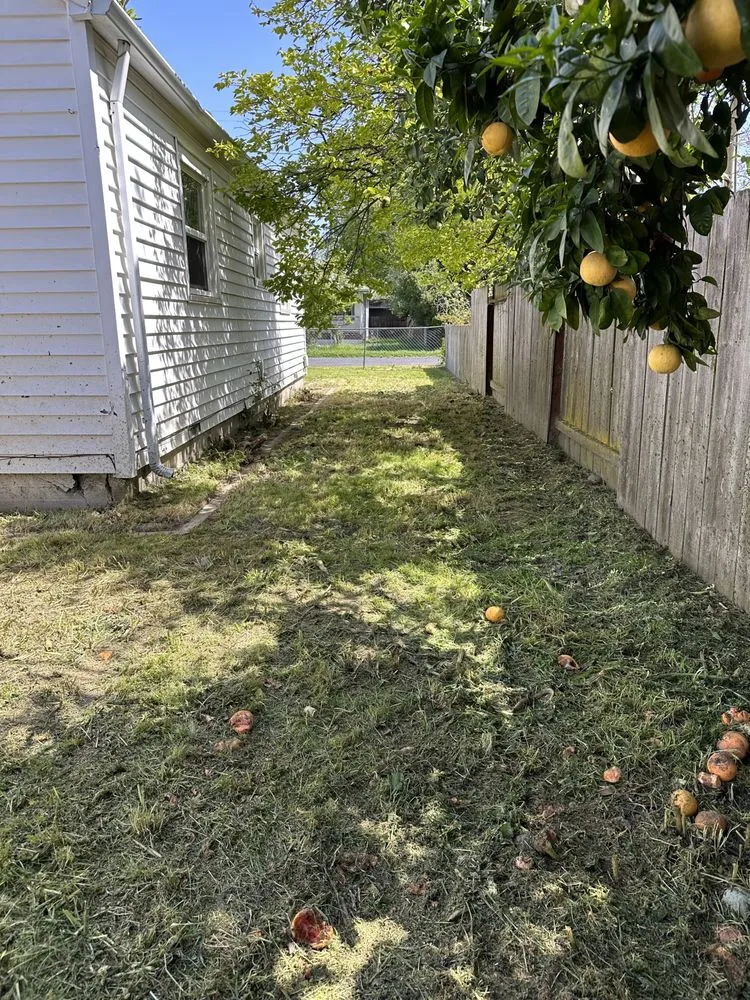 Professional outdoor landscaping in West Sacramento, CA by Athan’s lawn care services