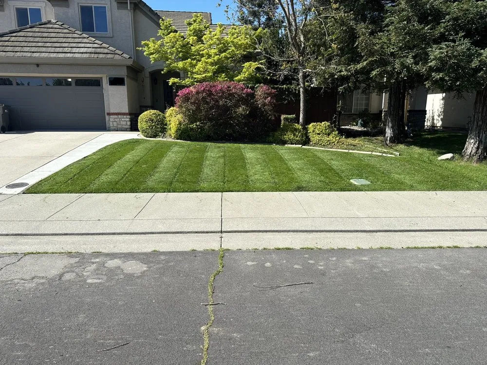 Custom landscape design in West Sacramento, CA by Athan’s lawn care services