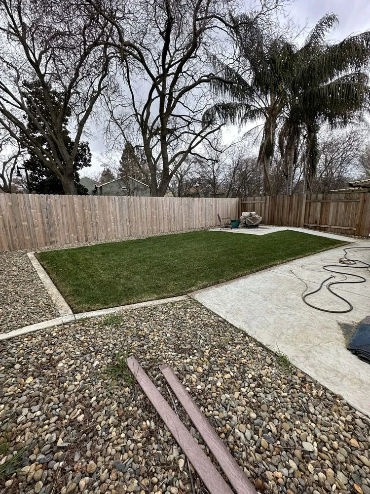Affordable yard cleanup service in West Sacramento, CA by Athan’s lawn care services