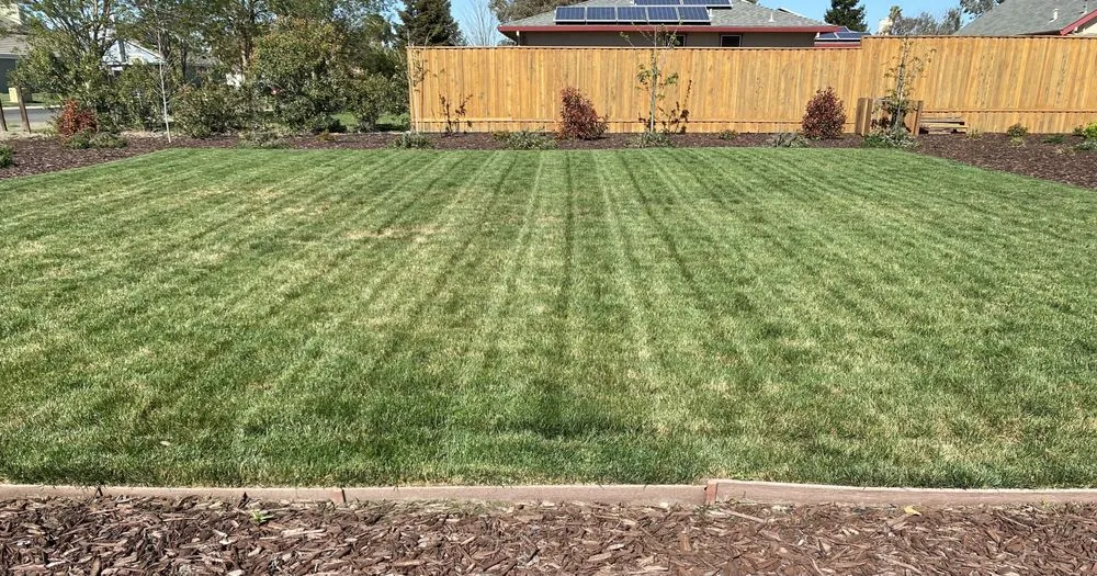 Top-rated outdoor landscaping for homes in West Sacramento, CA by Athan’s lawn care services