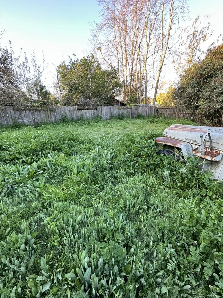 Reliable landscape design in West Sacramento, CA by Athan’s lawn care services