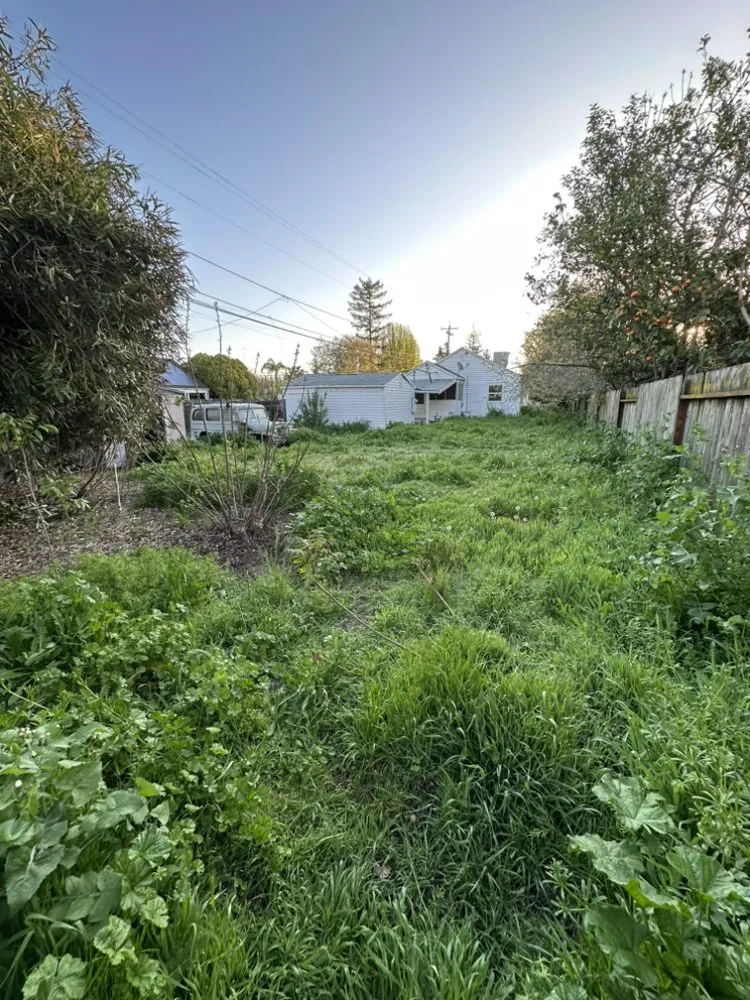 Top-rated outdoor landscaping experts serving West Sacramento, CA - Athan’s lawn care services