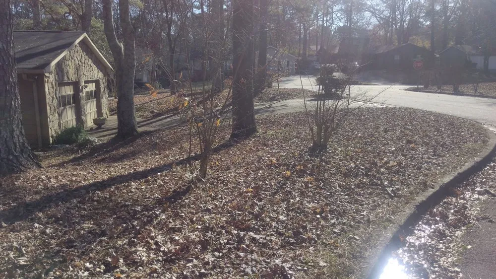 Custom lawn mowing service near you across Newnan, GA - Athena's Lawn Care