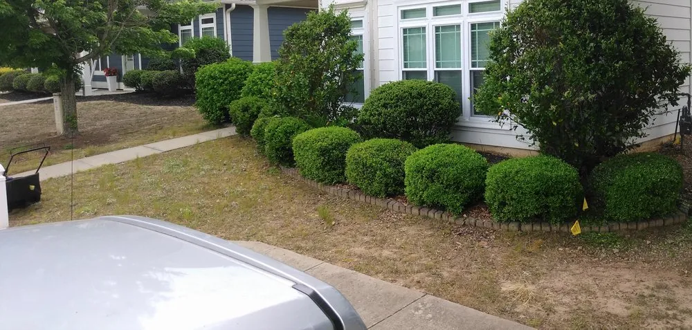 Custom yard cleanup service with custom design across Newnan, GA - Athena's Lawn Care