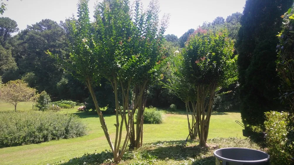 Professional landscaping services for homes across Newnan, GA - Athena's Lawn Care