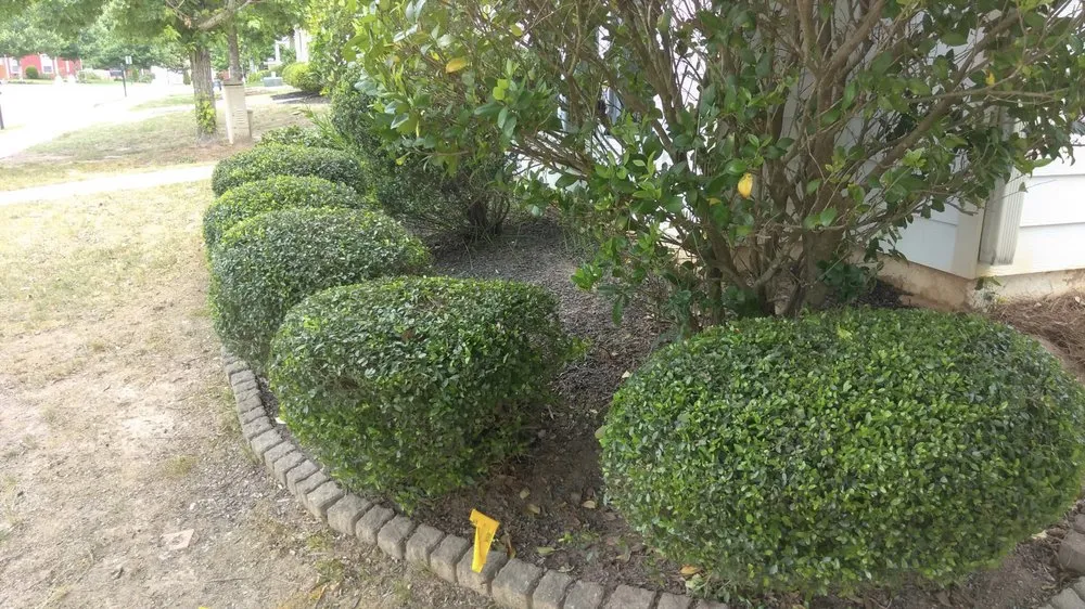 Professional landscape design for outdoor upgrades in Newnan, GA by Athena's Lawn Care