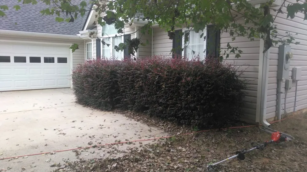 Trusted landscape installation experts serving Newnan, GA - Athena's Lawn Care