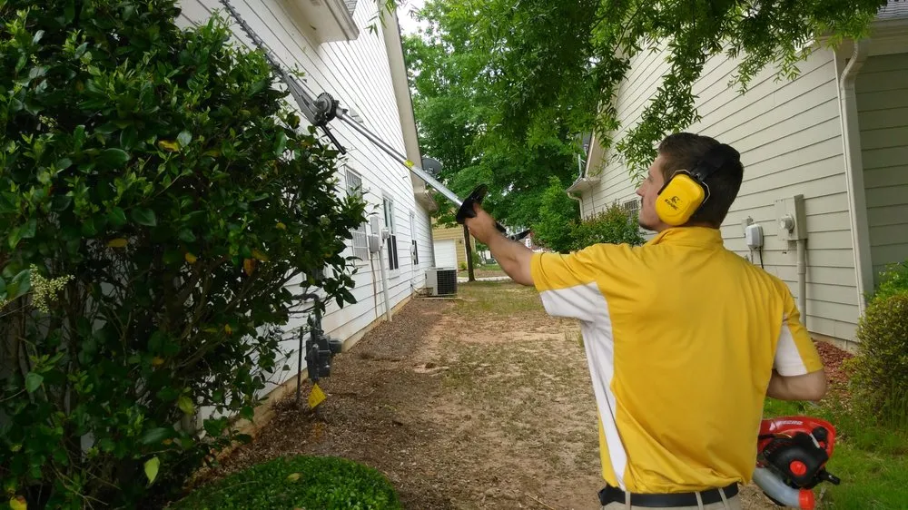 Affordable yard cleanup service in Newnan, GA - Athena's Lawn Care