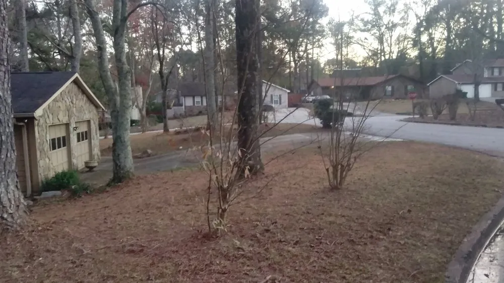 Local landscape installation for year-round maintenance across Newnan, GA - Athena's Lawn Care