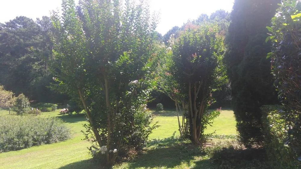 Top-rated residential landscaping for homes in Newnan, GA by Athena's Lawn Care