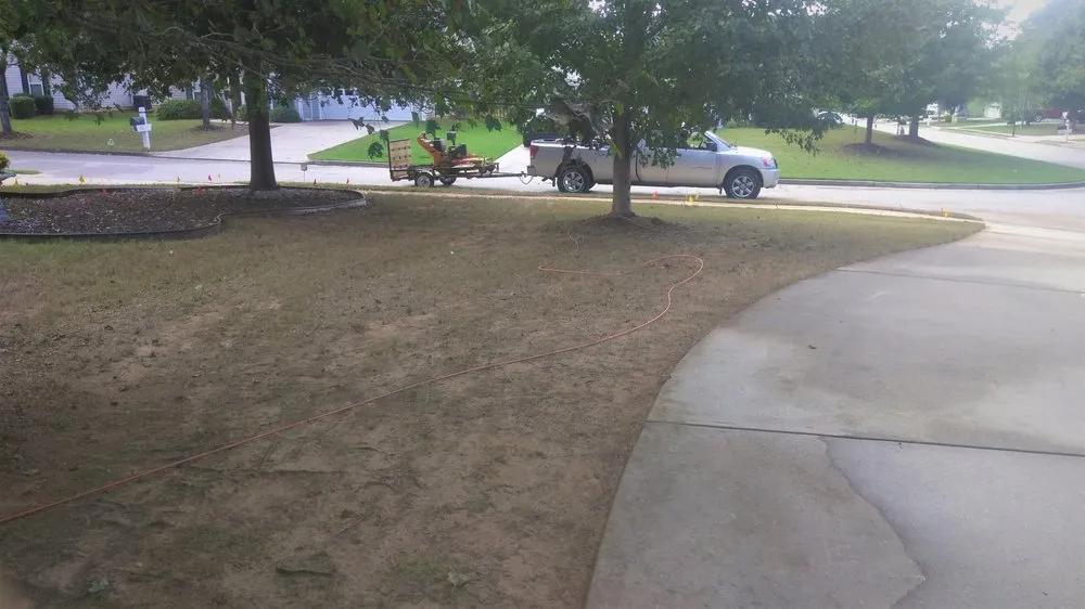 Reliable yard cleanup service experts serving Newnan, GA - Athena's Lawn Care