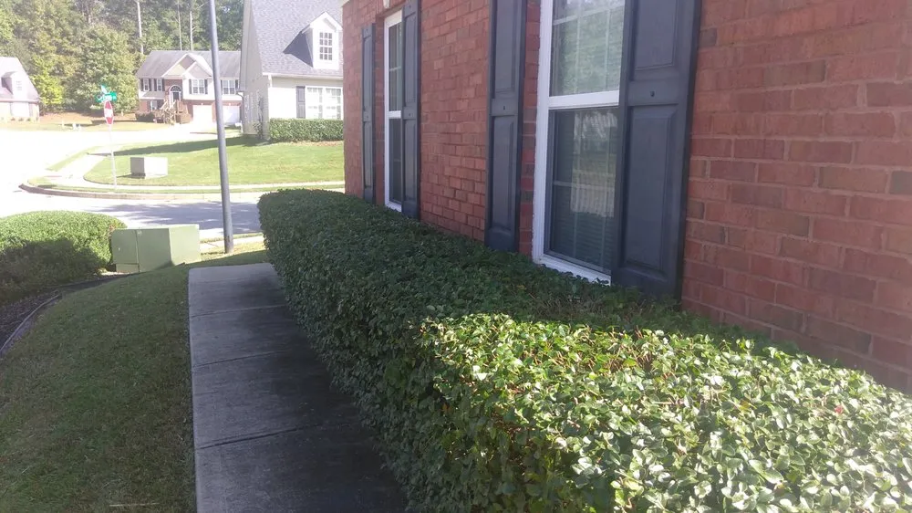 Local landscape installation for residential properties across Newnan, GA - Athena's Lawn Care