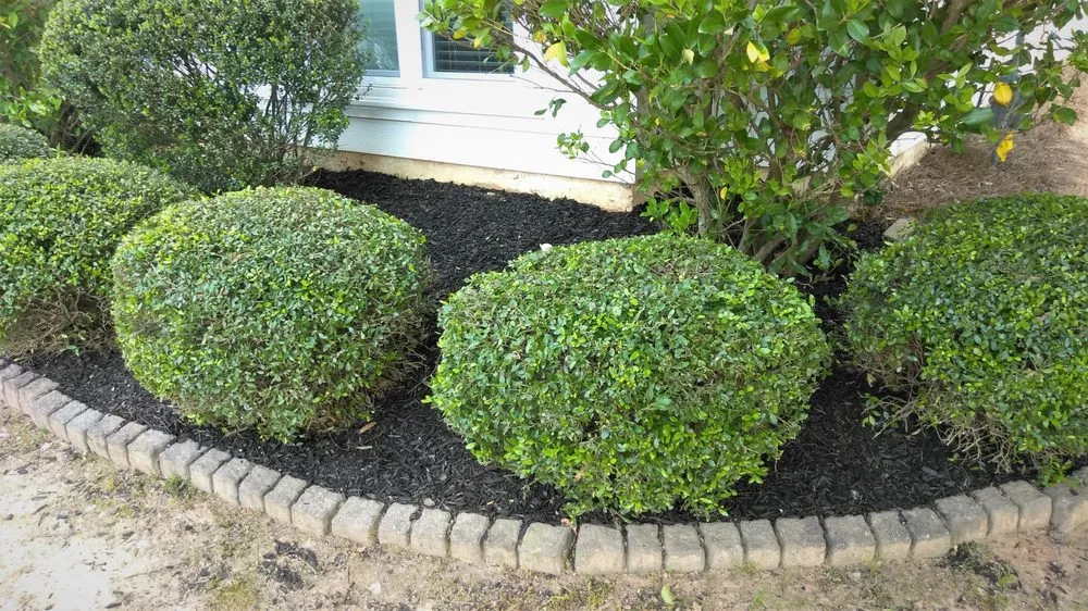Top-rated yard maintenance in Newnan, GA by Athena's Lawn Care