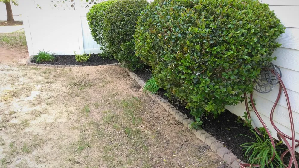 Reliable lawn mowing service in Newnan, GA by Athena's Lawn Care