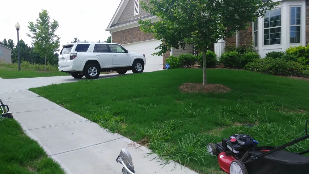 Expert yard maintenance in Newnan, GA by Athena's Lawn Care