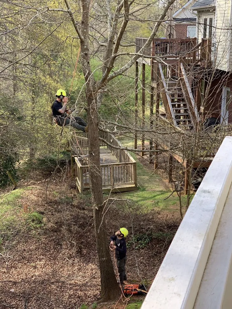 Affordable landscaping services experts serving Watkinsville, GA - Athens Arborist Tree Care