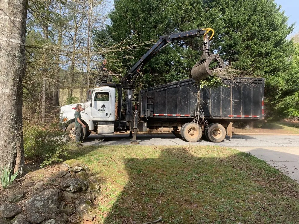 Top-rated outdoor landscaping for outdoor upgrades in Watkinsville, GA by Athens Arborist Tree Care