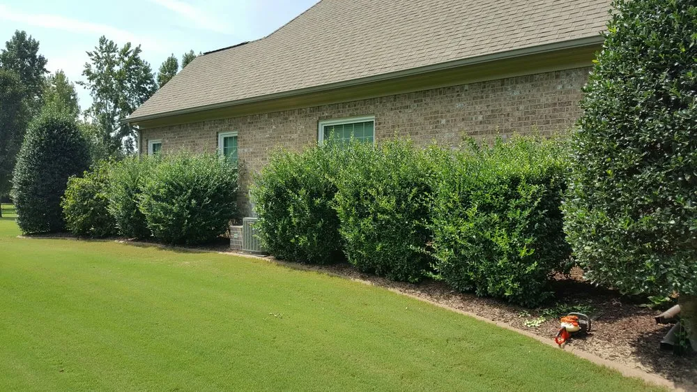 Custom outdoor landscaping experts serving Athens, GA - Athens Area Landscape