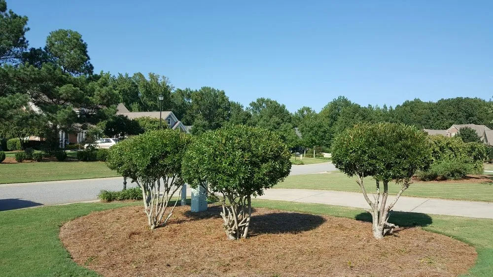 Expert residential landscaping in Athens, GA - Athens Area Landscape