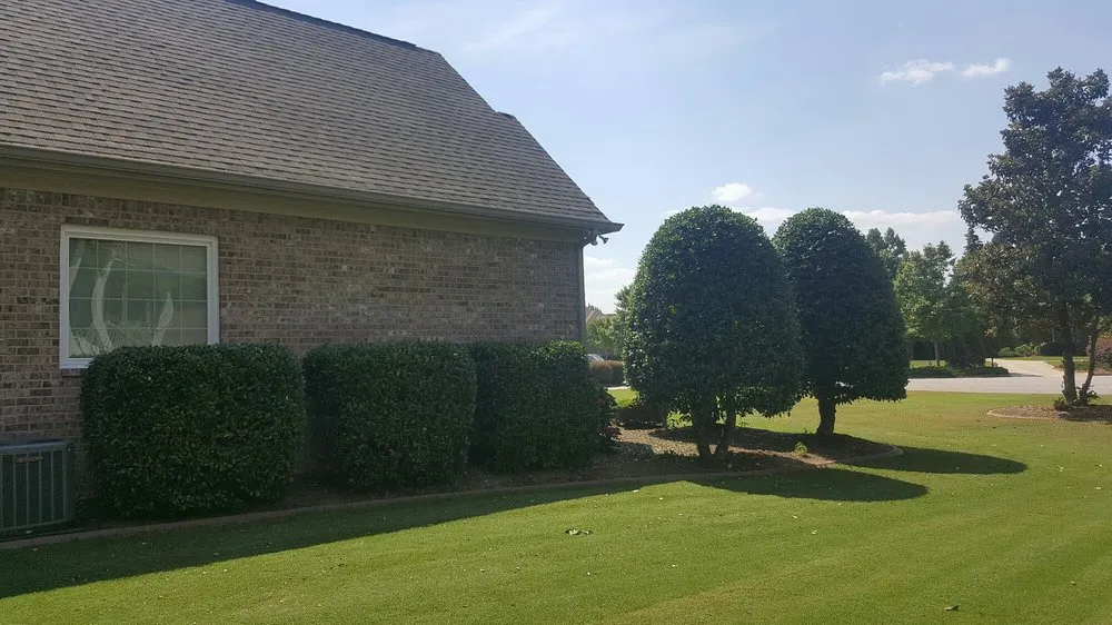 Top-rated landscape installation for homes across Athens, GA - Athens Area Landscape