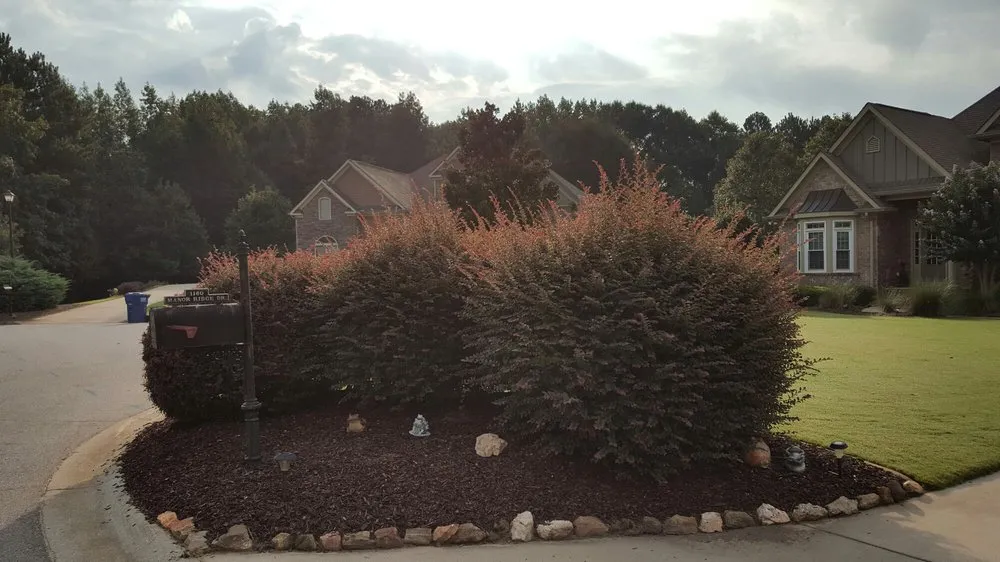 Affordable yard maintenance near you across Athens, GA - Athens Area Landscape