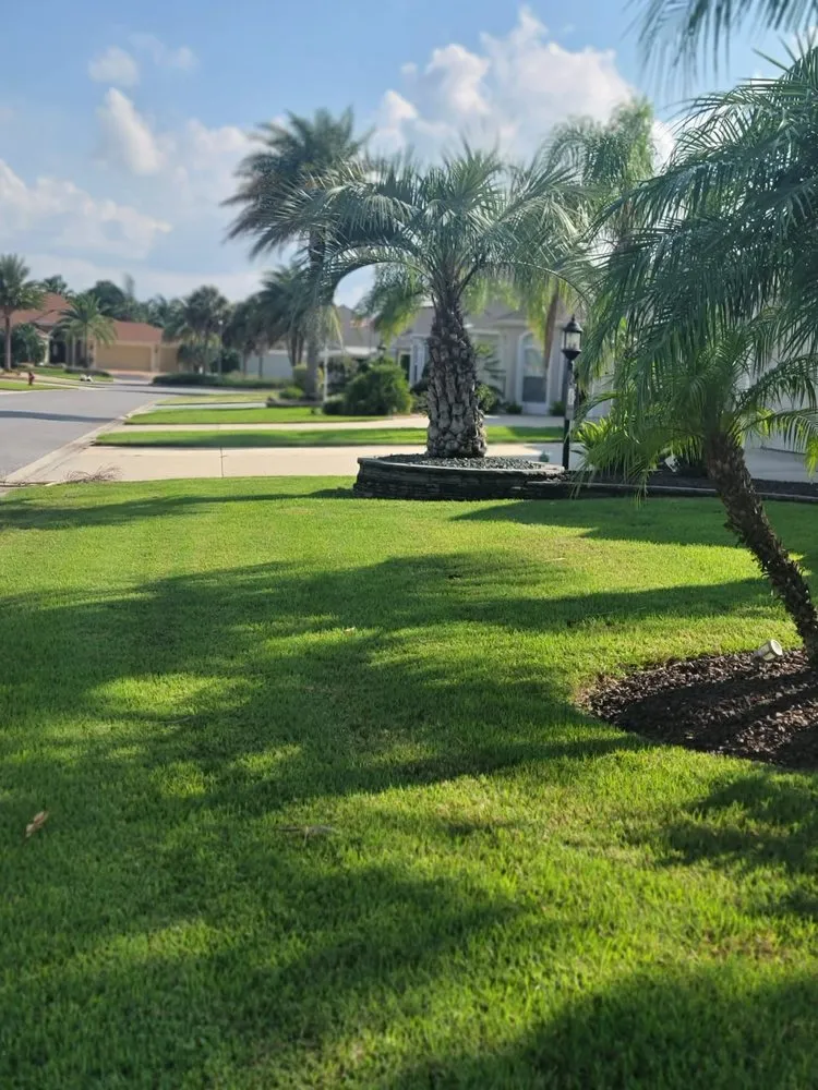Expert landscape installation for residential properties across Summerfield, FL - Athen's EC Landscaping