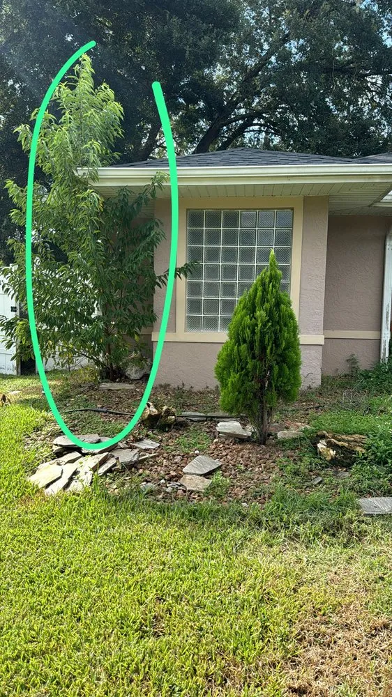 Professional landscaping services for year-round maintenance in Summerfield, FL by Athen's EC Landscaping