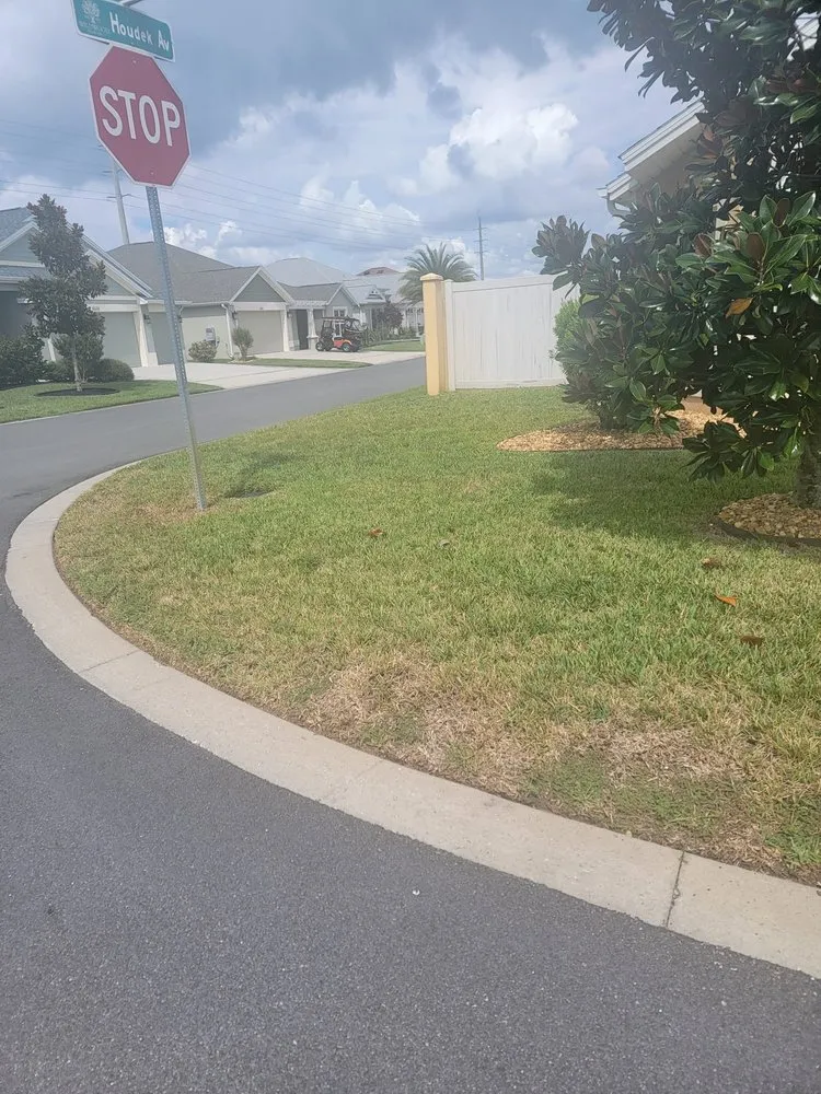 Affordable residential landscaping with custom design in Summerfield, FL by Athen's EC Landscaping