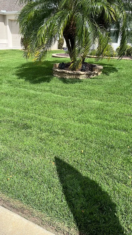 Expert landscape design experts serving Summerfield, FL - Athen's EC Landscaping